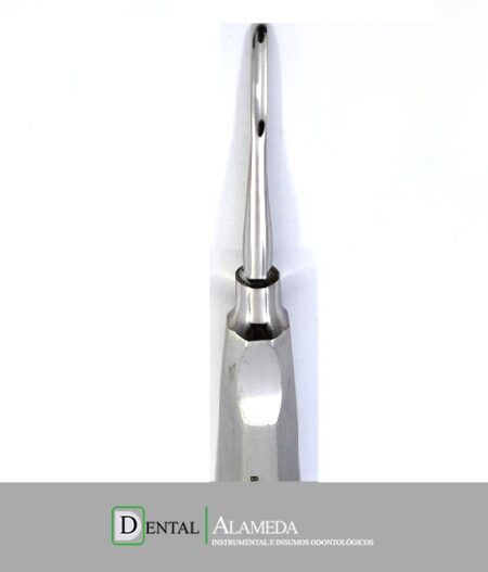 Elevador Bein 2 mm Recto Fino