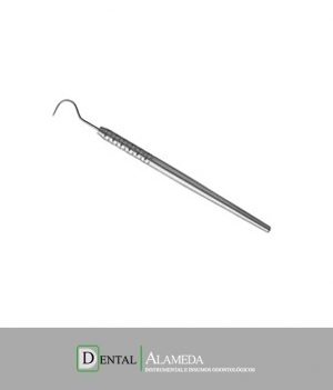 Sonda Exploradora Curva