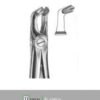 Forceps #79