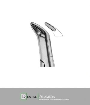 Forceps #151