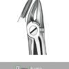 Forceps #30