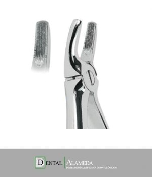 Forceps #7