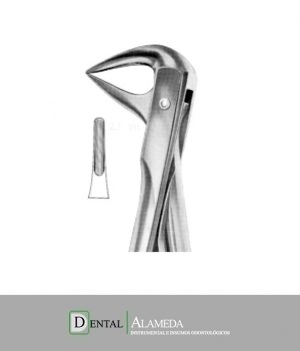 FORCEPS #74