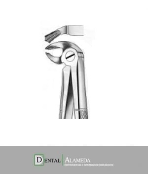 FORCEP #24
