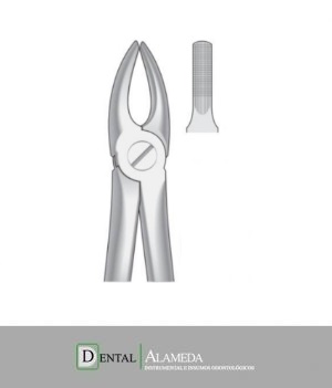 FORCEP #2
