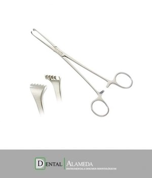 PINZA ALLIS 15,5 cm.