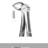 FORCEPS #33B