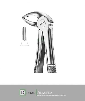 FORCEPS #33B