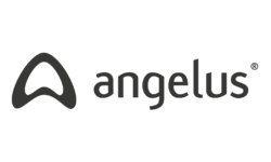angelus3